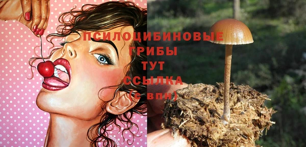 марки nbome Аркадак