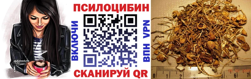 Галлюциногенные грибы мицелий  Талдом 