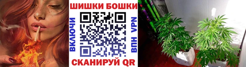 Канабис Ganja  Талдом 